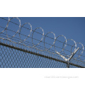 Low price hot-dip galvanized razor wire